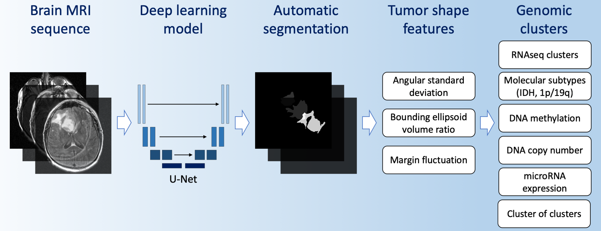 Graphical Abstract